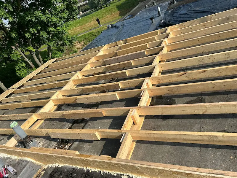 Chimney repointing, flashing and rebuild in Newcastle